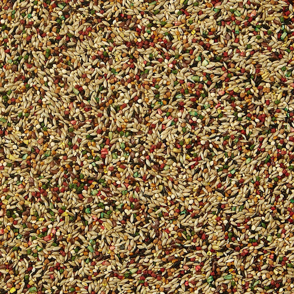Canary Finch Food K9479