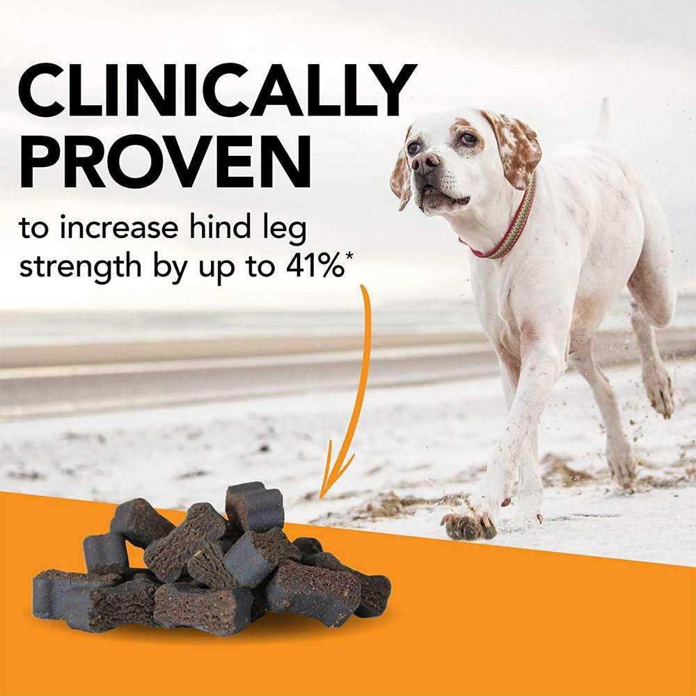 Dog Pet Supplies X97008