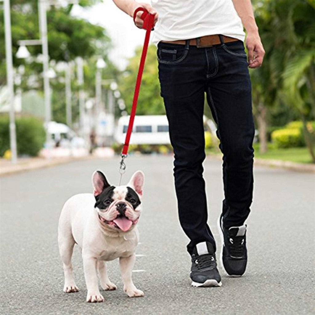 Long Lead Dog Leash G76589