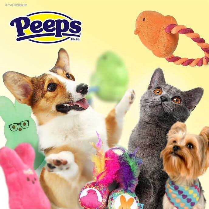 Chick Plush Dog Toy F82594