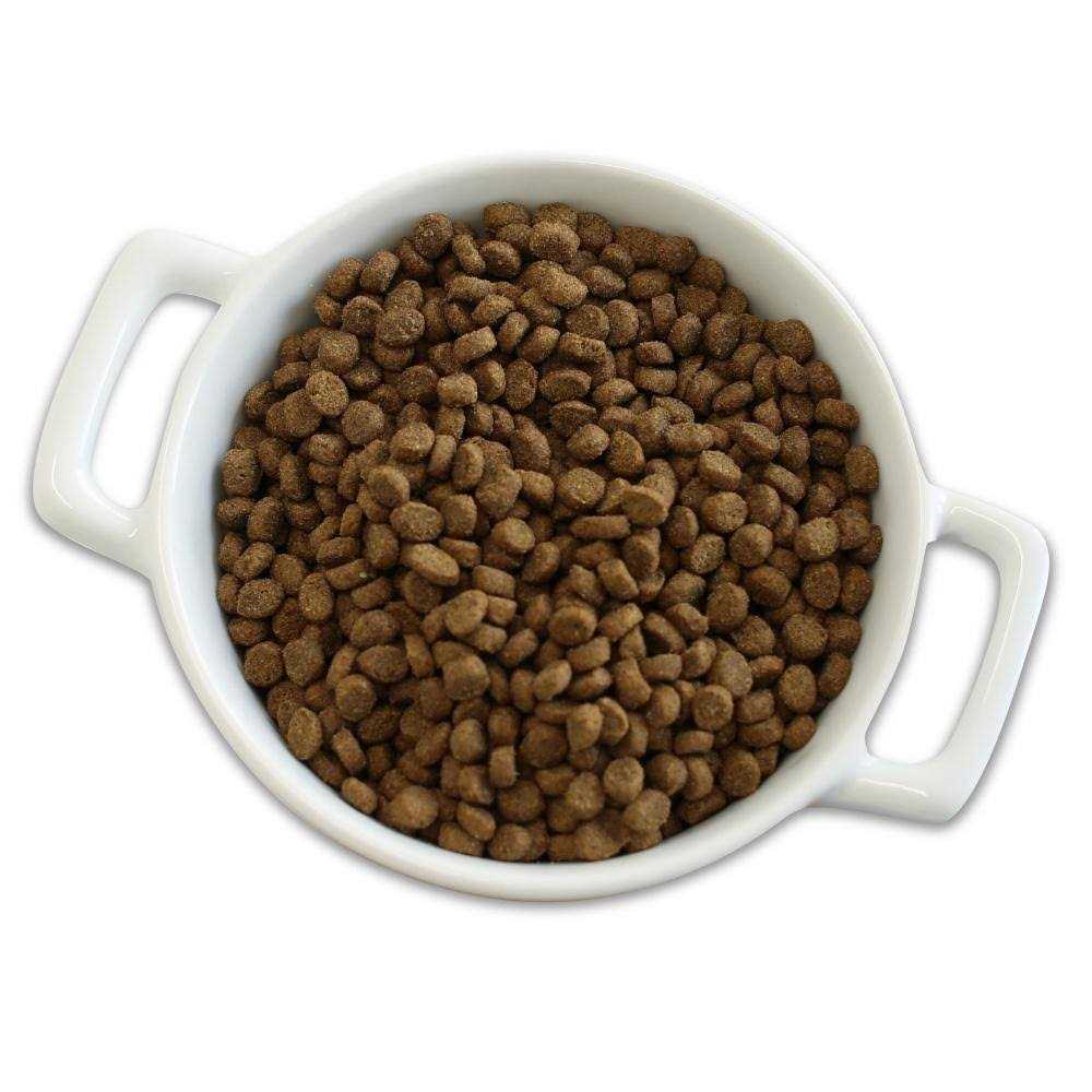 Adult Dry Cat Food B13644
