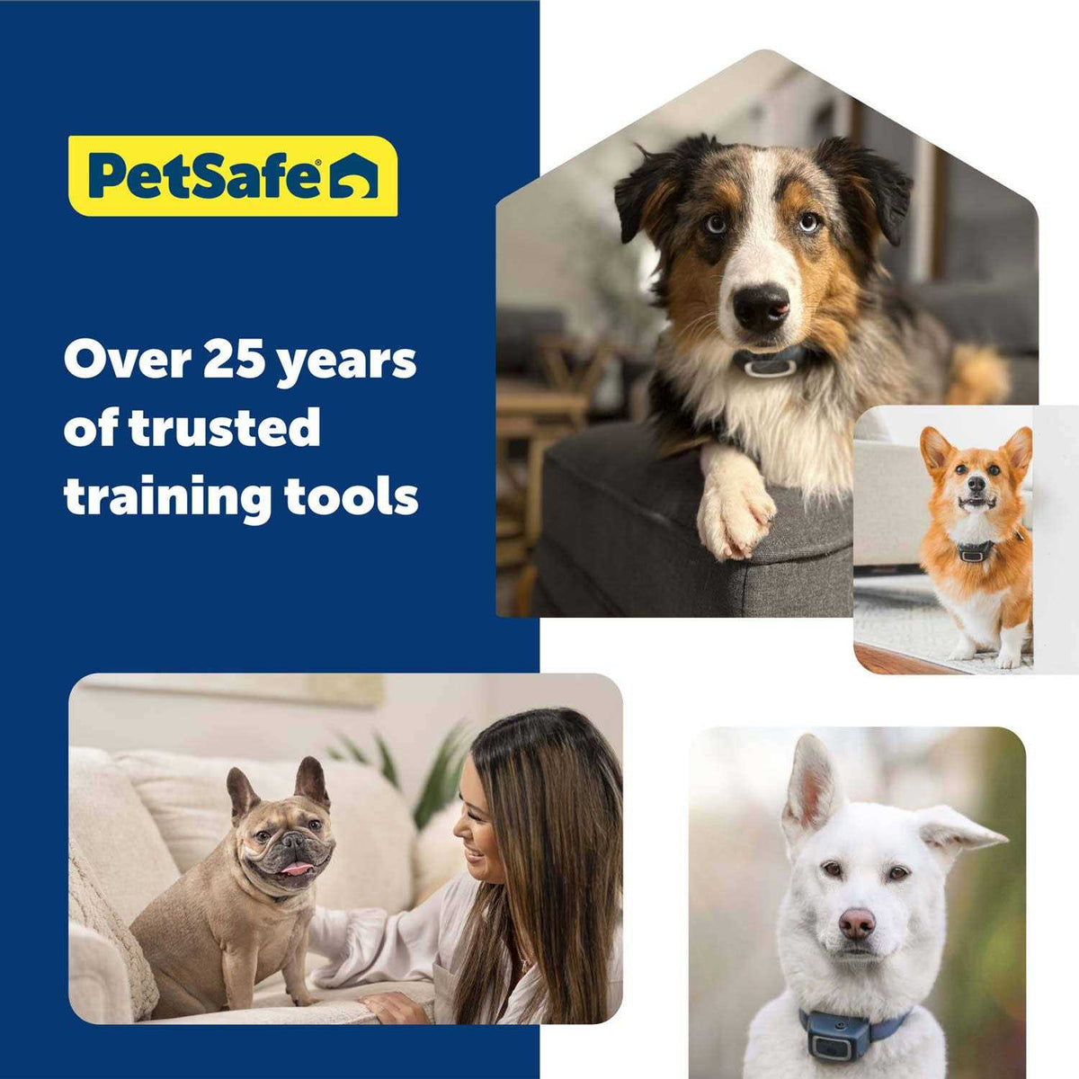 Dog Remote Trainer M33054