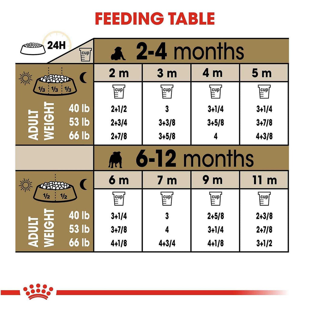 Bulldog Puppy Dry Dog Food T9805