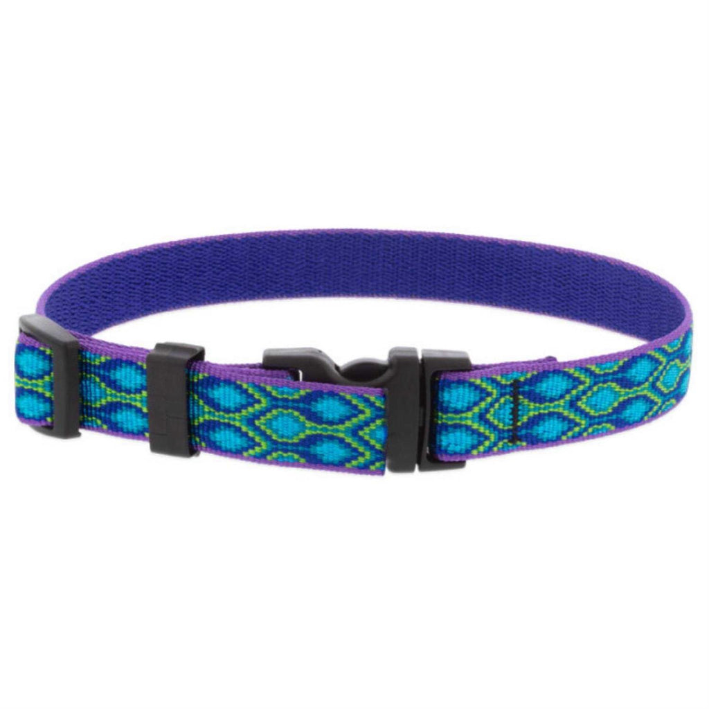 Dog Collar H626