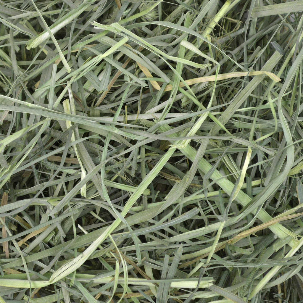 Orchard Grass Hay R331