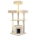Large Cat House Q12622