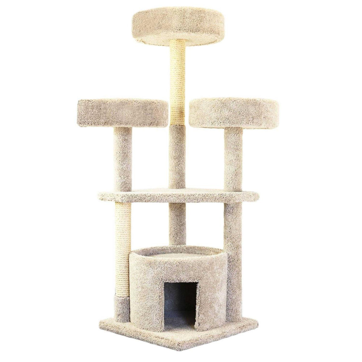Large Cat House Q12622