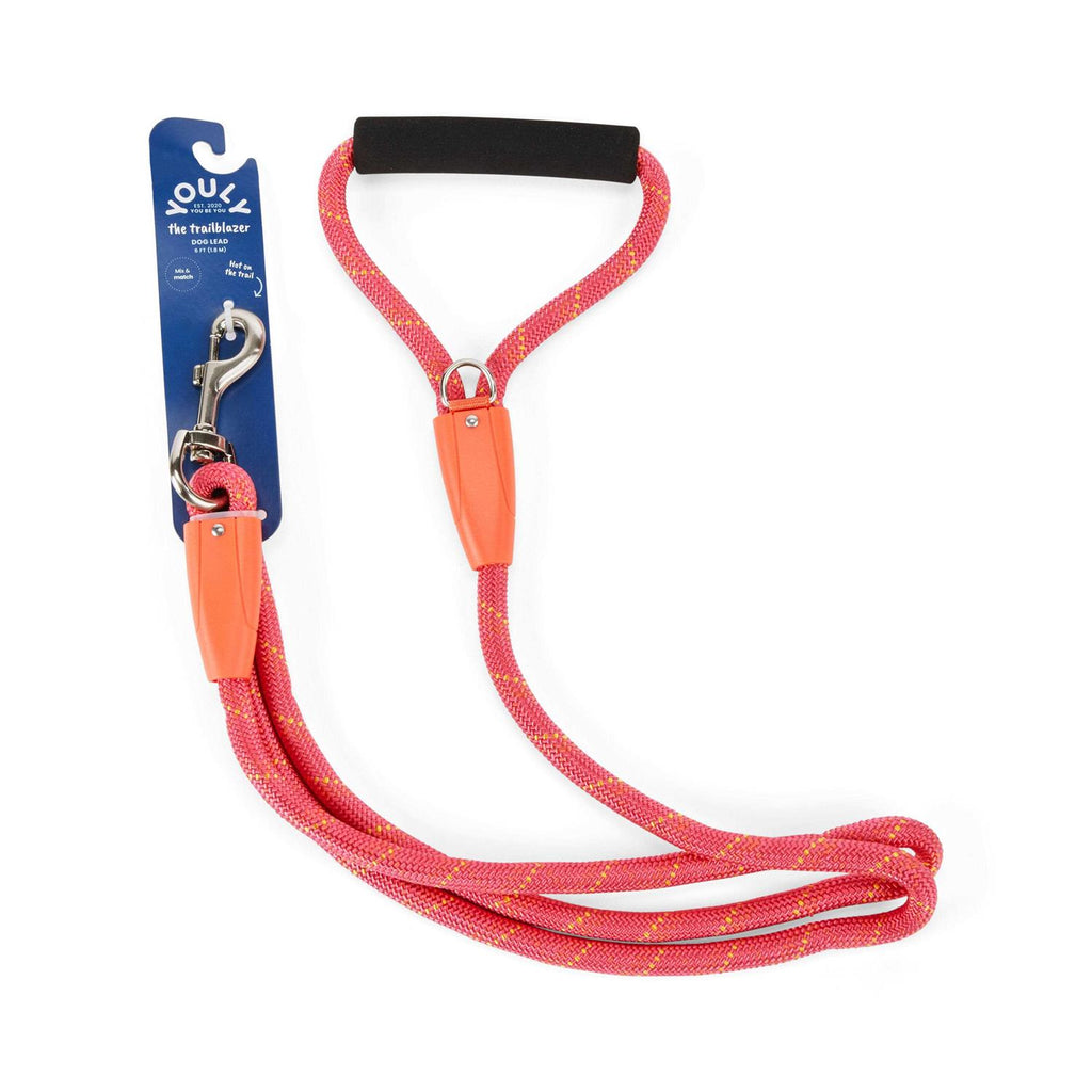 Pink & Orange Dog Lead A999
