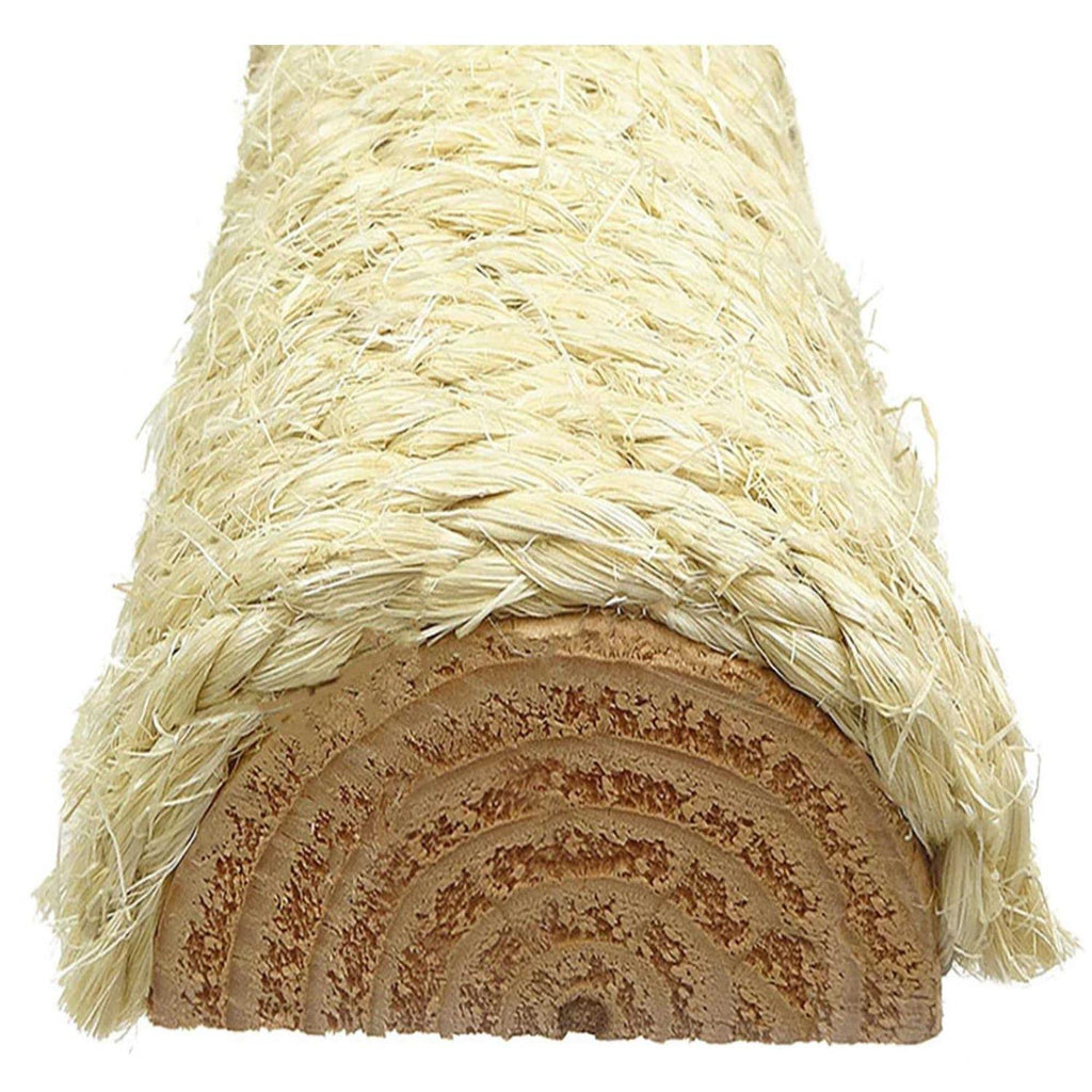Large Cat House Q12622