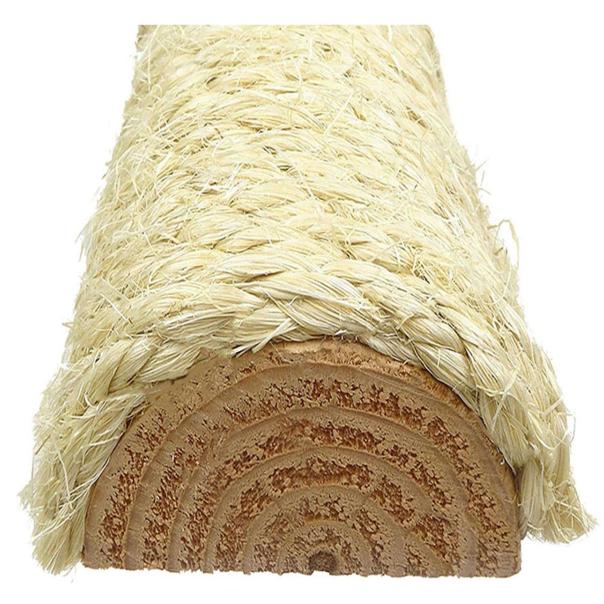 Large Cat House Q12622