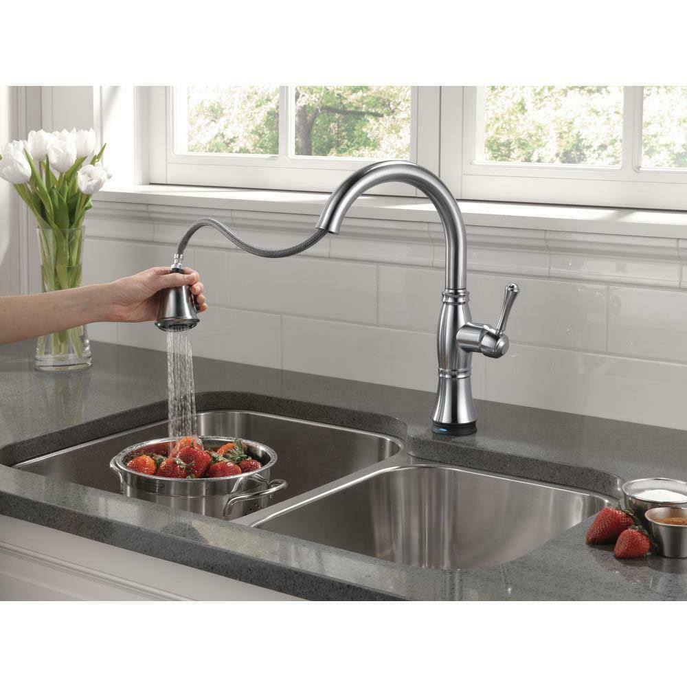 Arctic Stainless Pull-Out Spray Kitchen Faucet C531042