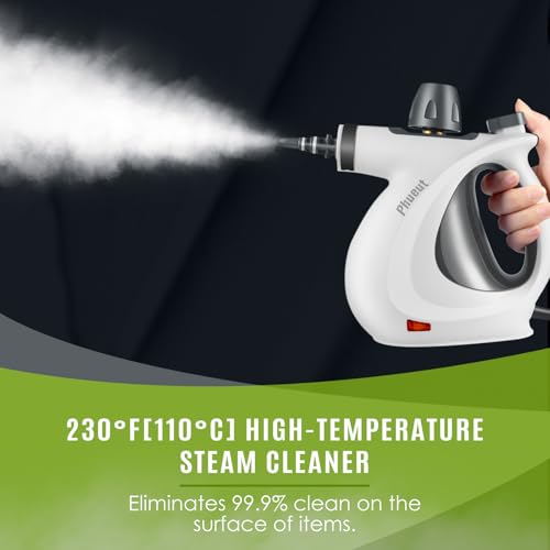 Pressurized Handheld Multi-Surface Natural Steam Cleaner with 12 pcs Accessories W243