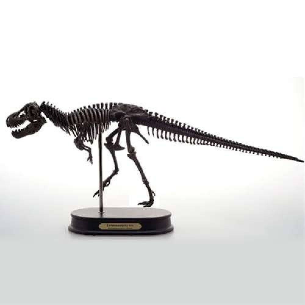 Tyrannosaurus Rex Dinosaur Figure Fossil Skeleton 1/20 Scale H5305