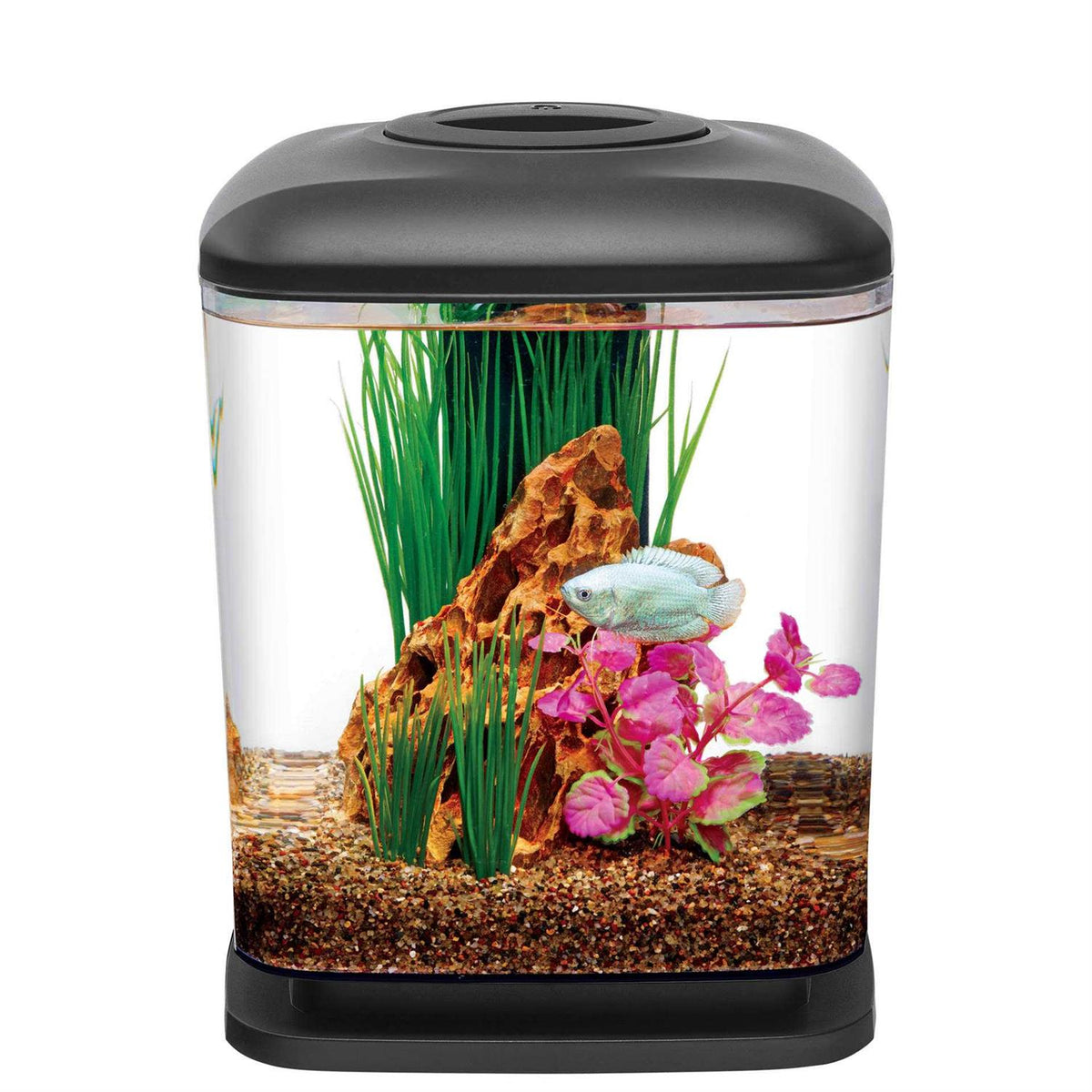 LED Mini Cube Aquarium Kit H5164