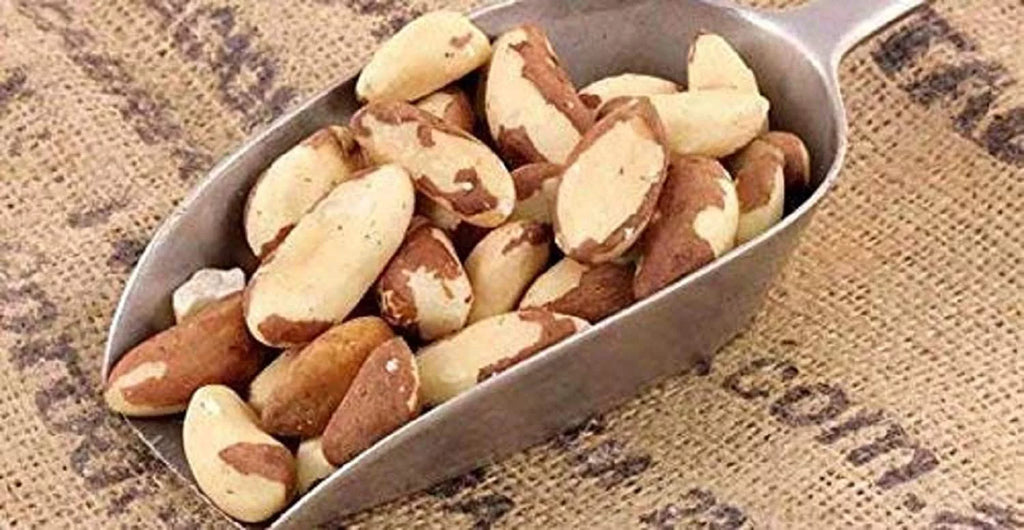 Dry Roasted Salted Brazil Nuts 25 Lbs I7744