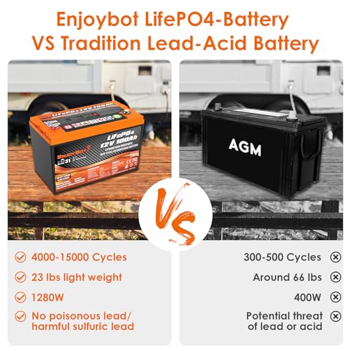 12V 100Ah LiFePO4 Lithium Battery with 100A BMS, Low Temp Cut Off Deep Cycle Battery S481868