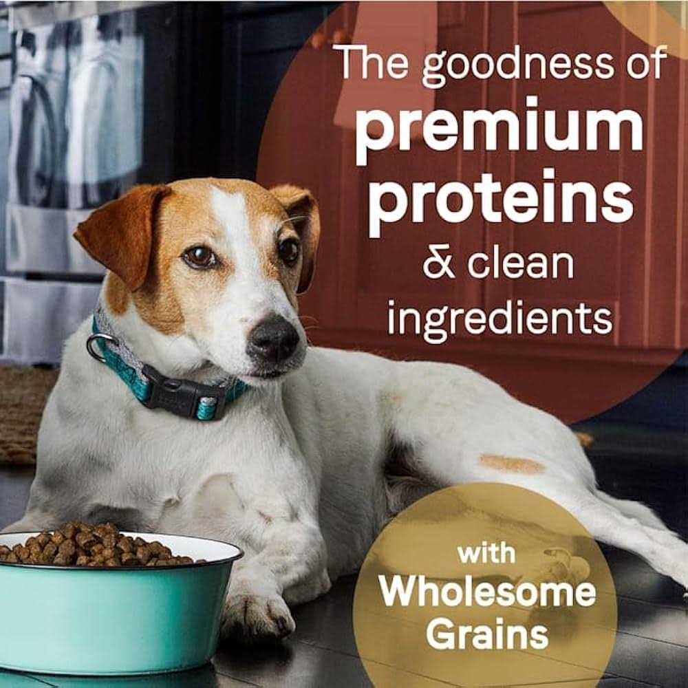 Grain Free Salmon & Sweet Potato Dry Dog Food Q989