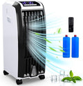 Portable 4-in-1 Evaporative Air Cooler with Humidifier L67989
