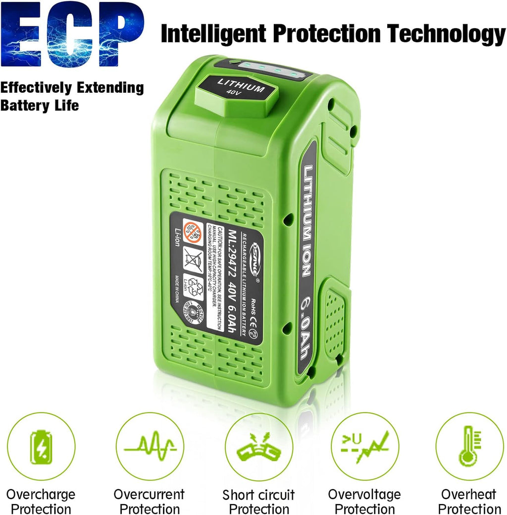 40V 6.0Ah Lithium Battery Pack of 2 T9969