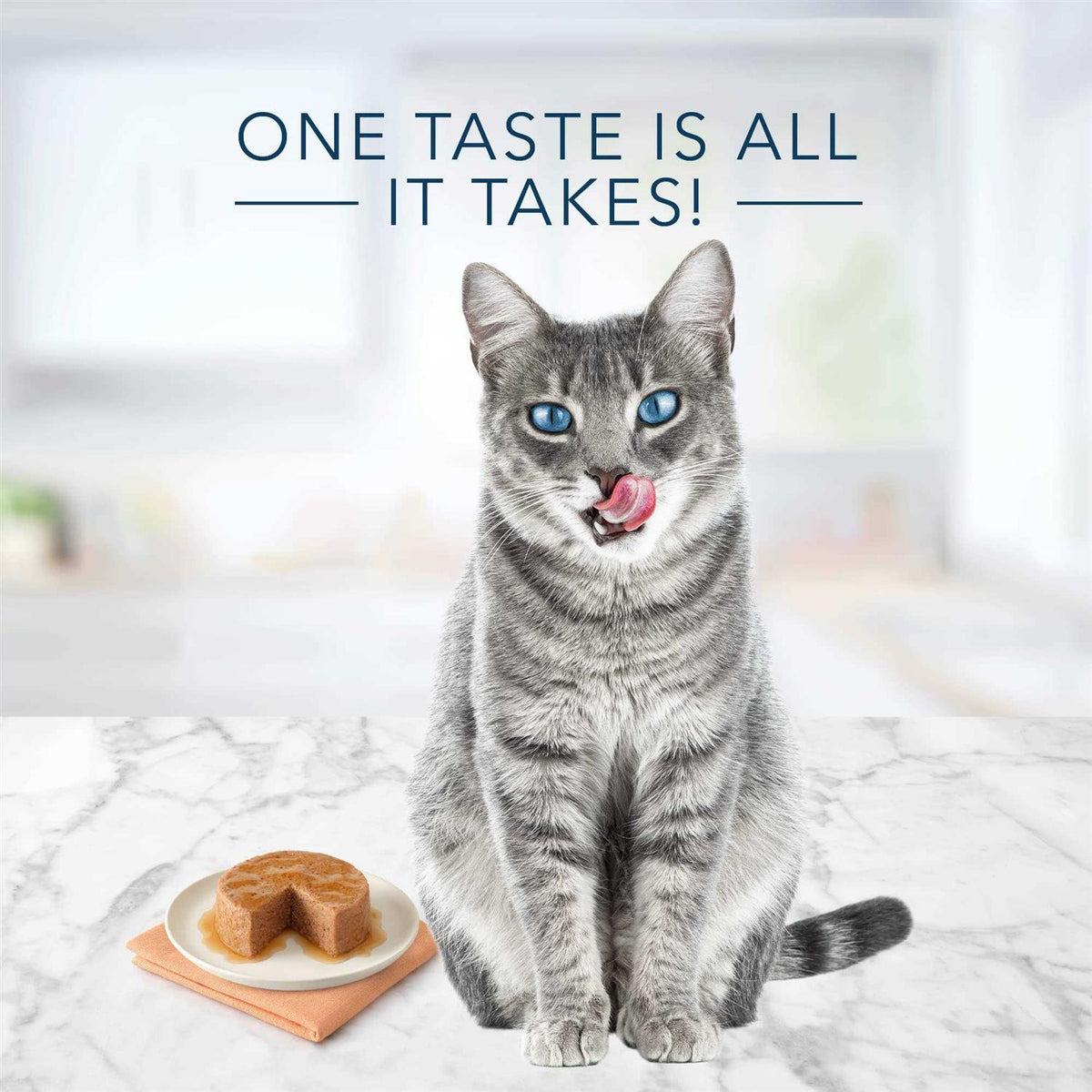 Wet Cat Food Variety J413829