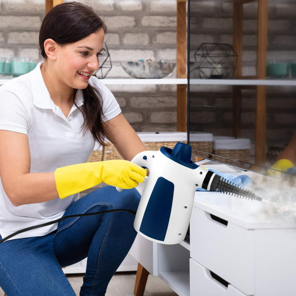 Handheld Steam Cleaner Pack of 2 P26114