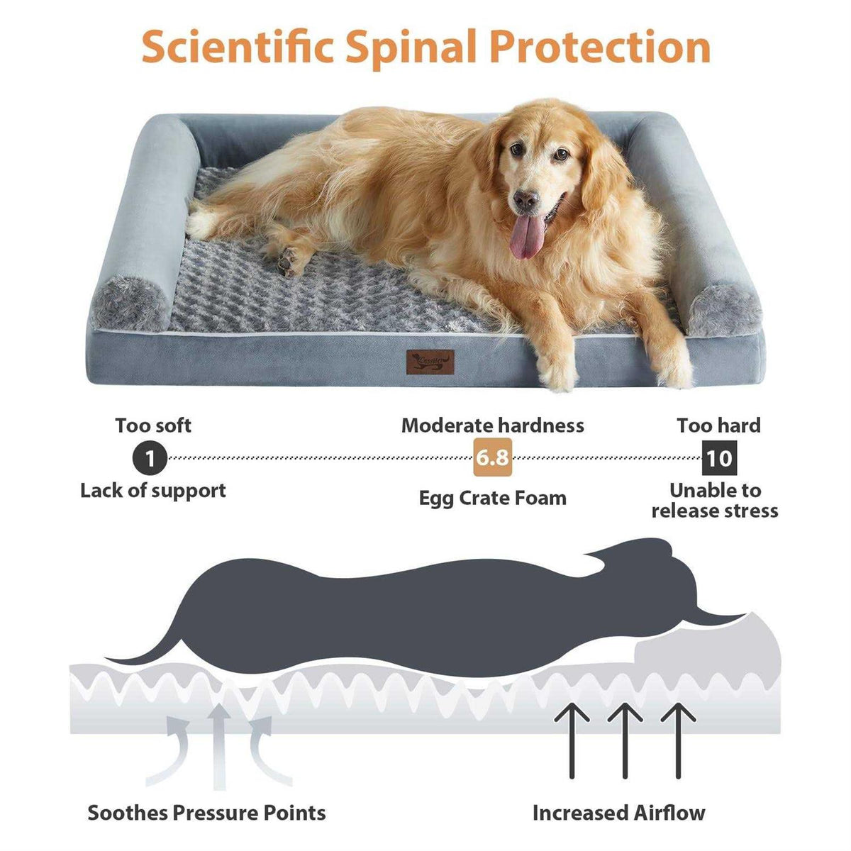 Orthopedic Egg Foam Dog Bed with Removable Washable Cover O7775