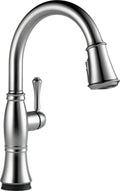 Arctic Stainless Pull-Out Spray Kitchen Faucet C531042