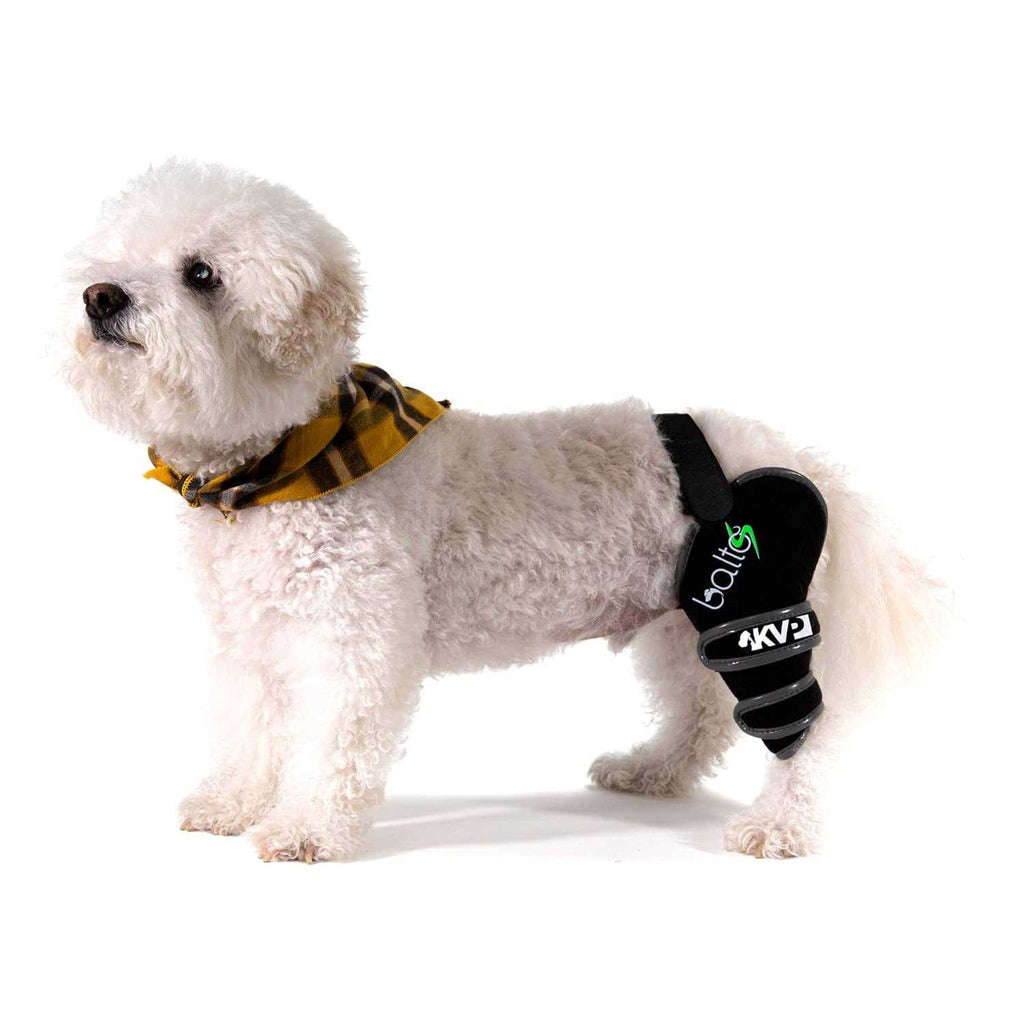 Knee Support for Dogs Z6242