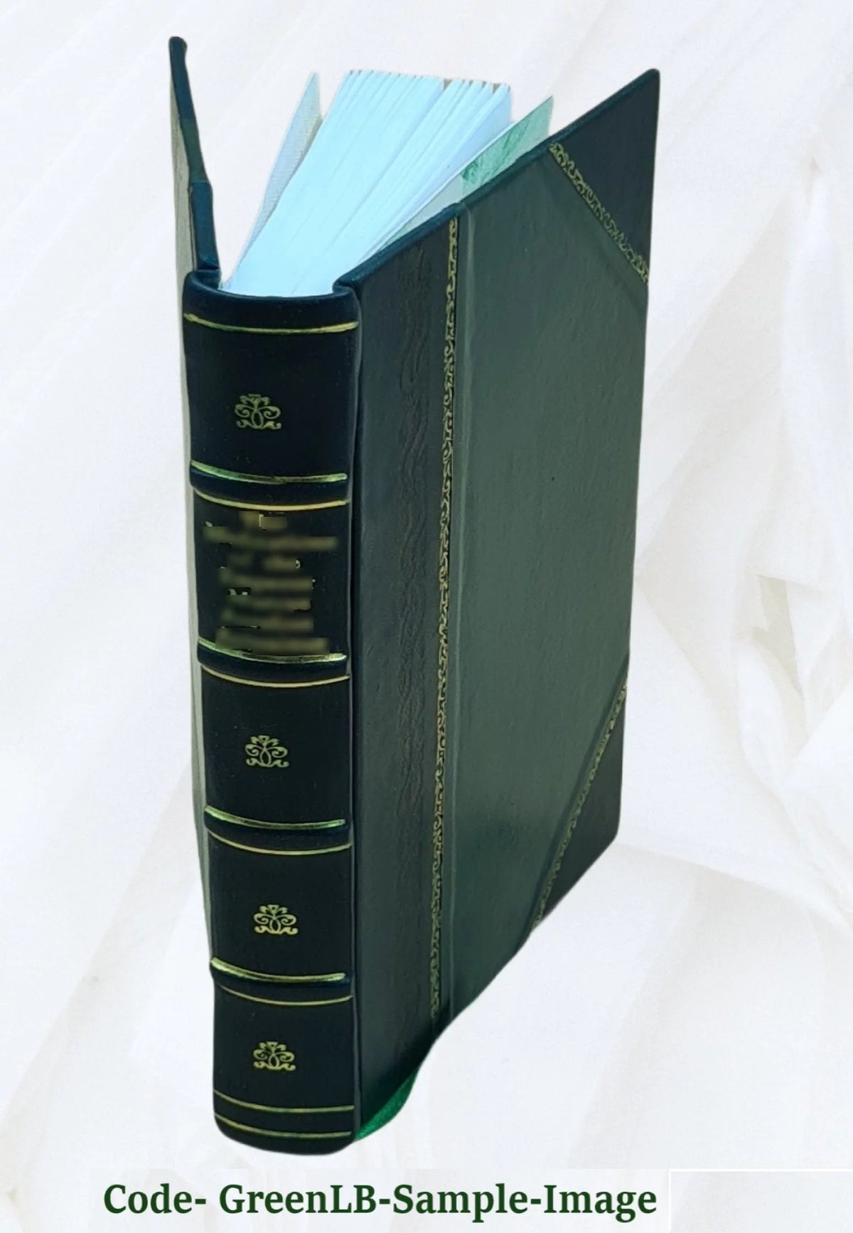 Good old times Leather Bound S124238