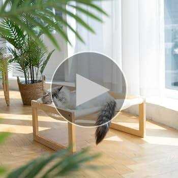 Large Breathable Wooden Cat Bed D203