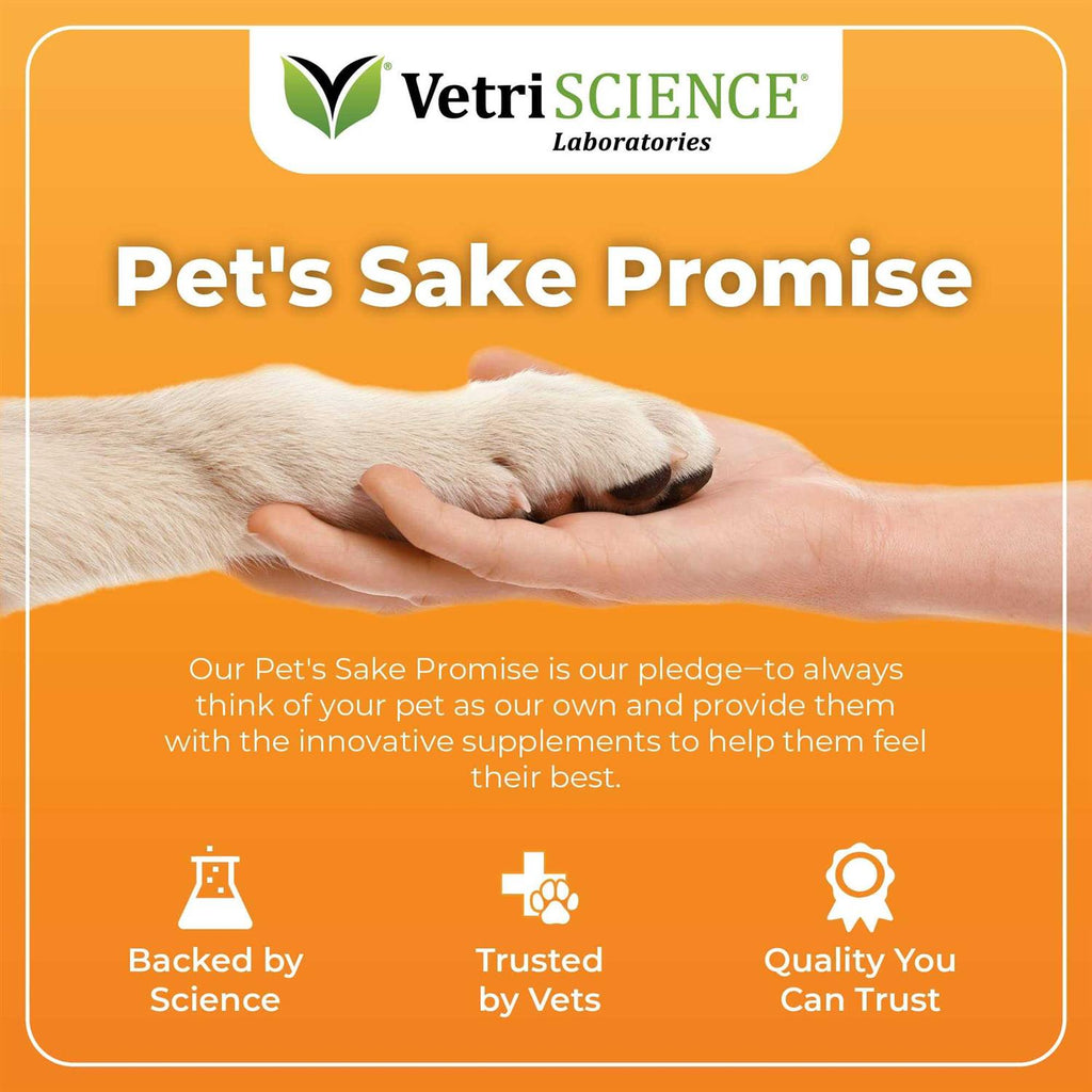Dog Pet Supplies X97008