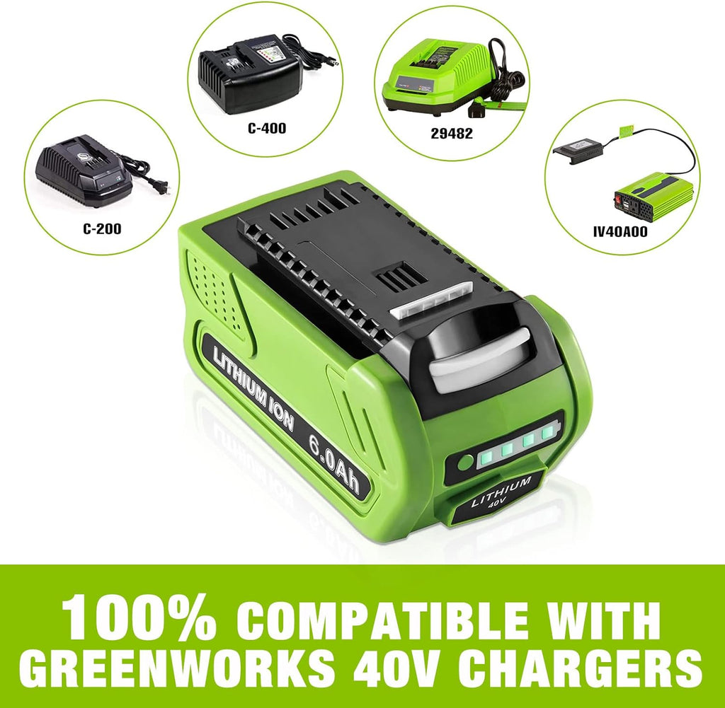 40V 6.0Ah Lithium Battery Pack of 2 T9969