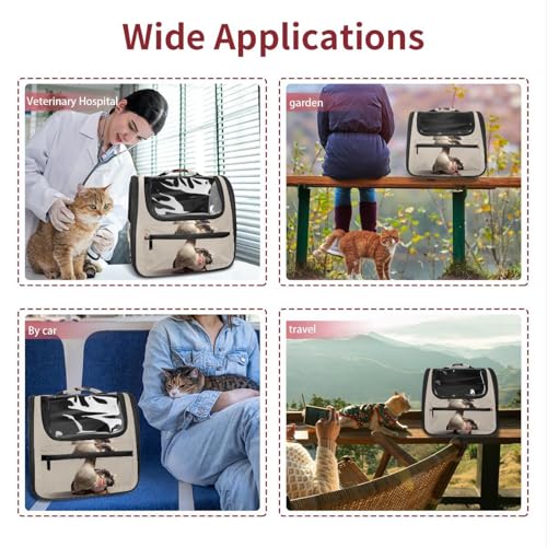 Pet Travel Carrier Soft Sided Portable Bag H634088