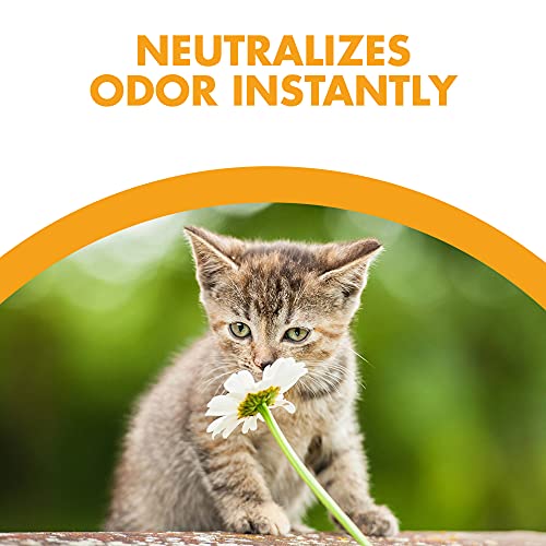 100% Natural Cat Litter, 20Lb N68217