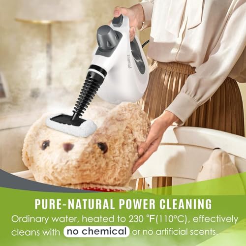 Pressurized Handheld Multi-Surface Natural Steam Cleaner with 12 pcs Accessories W243