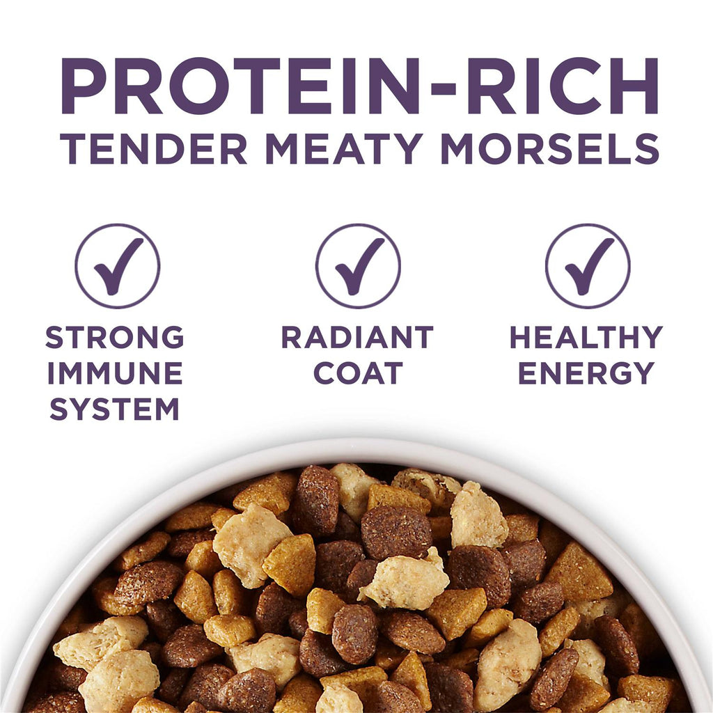 Adult Dry Dog Food Senior R2345