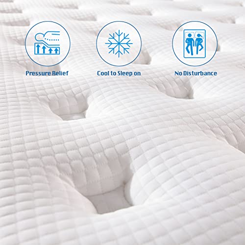 Queen 12 Inch Hybrid Gel Memory Foam Mattress Z348992