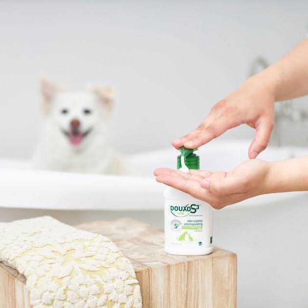 Shampoo I435746