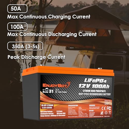 12V 100Ah LiFePO4 Lithium Battery with 100A BMS, Low Temp Cut Off Deep Cycle Battery S481868