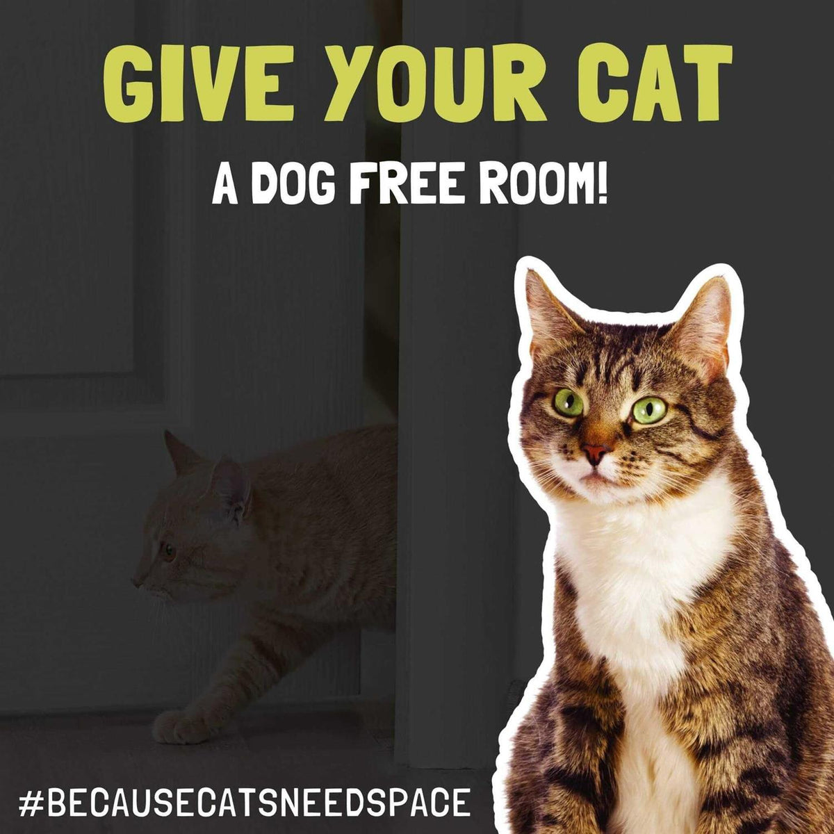 Door Latch Dog Litter Box Cat Door T376070