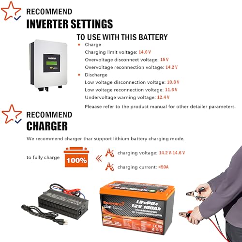 12V 100Ah LiFePO4 Lithium Battery with 100A BMS, Low Temp Cut Off Deep Cycle Battery S481868