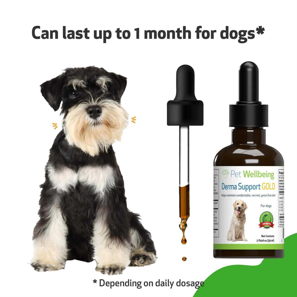 Natural Support for Healthy Coat in Dogs Q682526