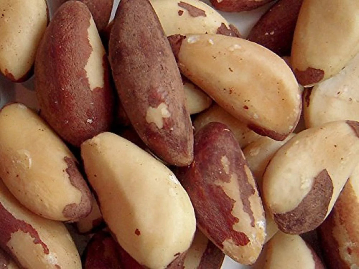 Dry Roasted Salted Brazil Nuts 25 Lbs I7744