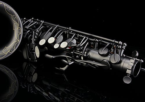 Black Lacquer E Flat Alto Saxophone with Case F654
