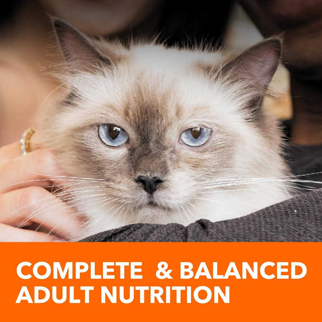 Adult Cat Food Z211