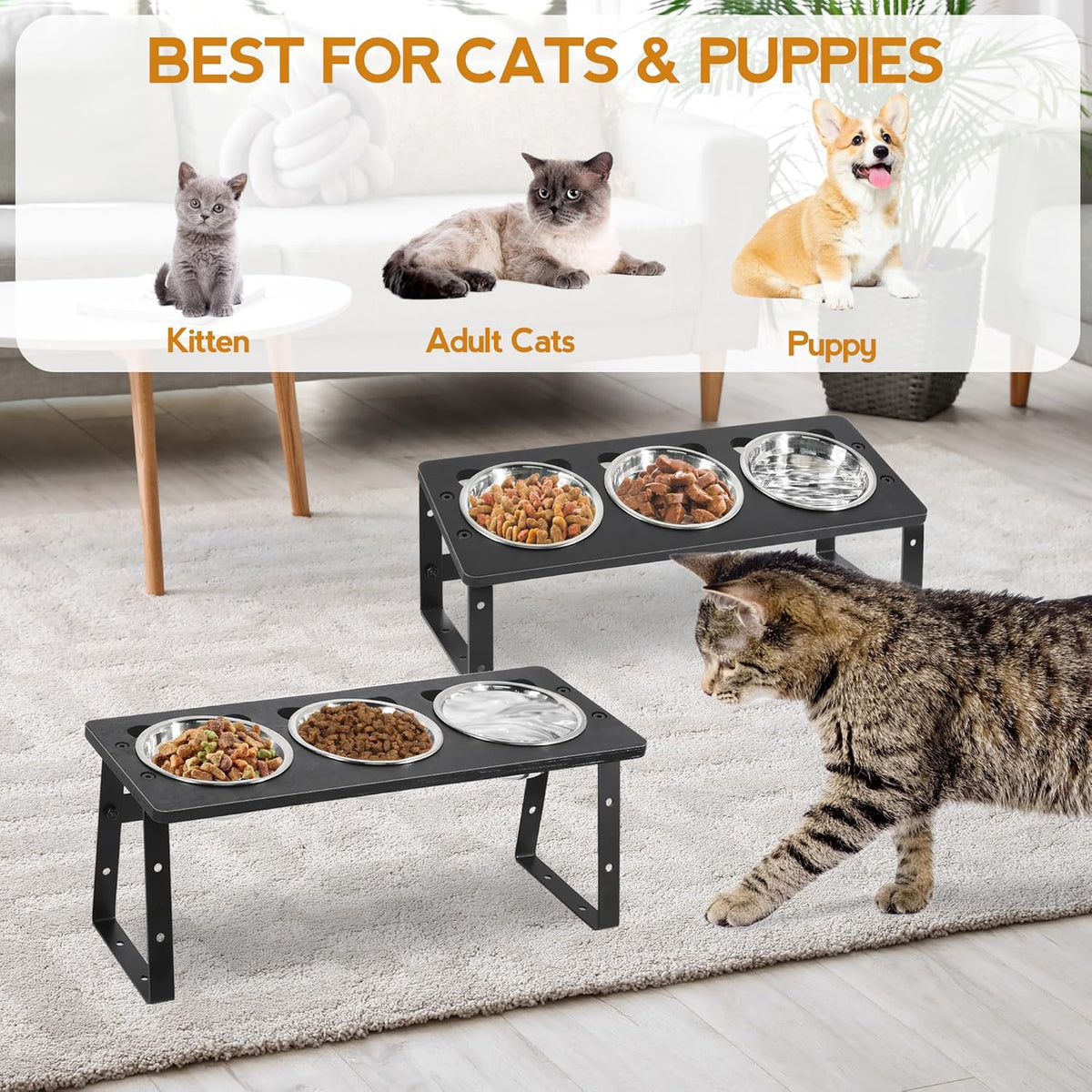 15° Tilted Raised Cat Bowls with Stainless Steel Feeder Bowls X471238