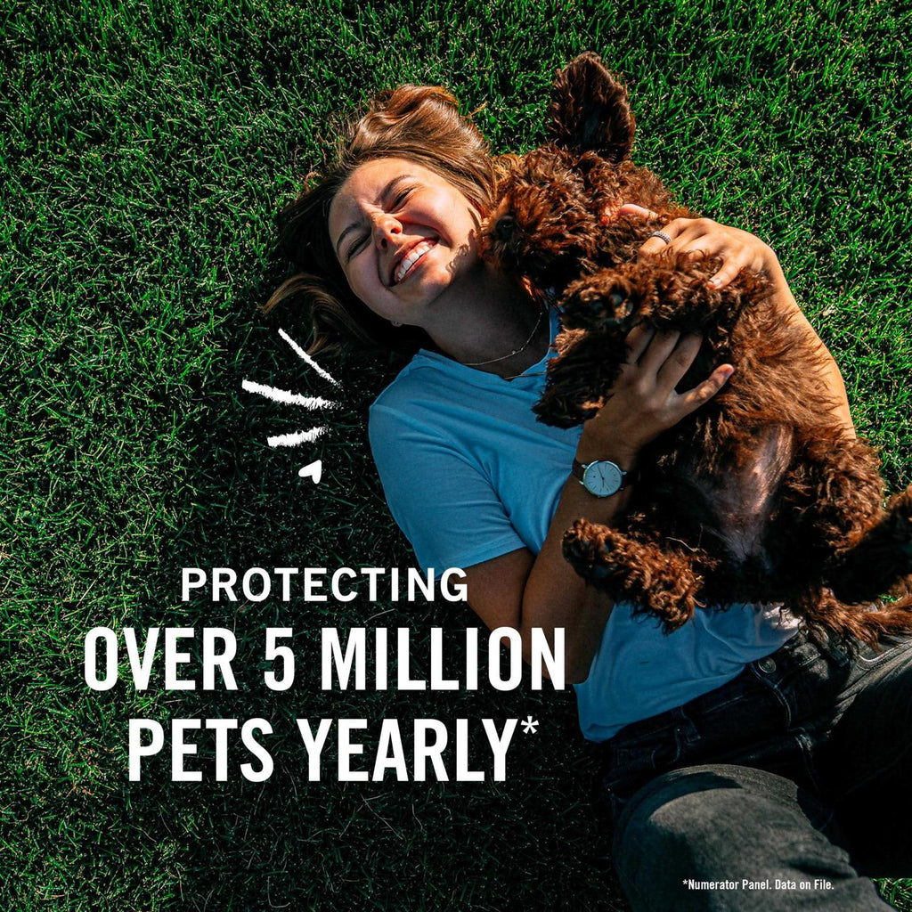 Flea Tick Treatment for Dogs H6935