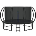 12FT 14FT Trampoline with Enclosure Net and Ladder I573