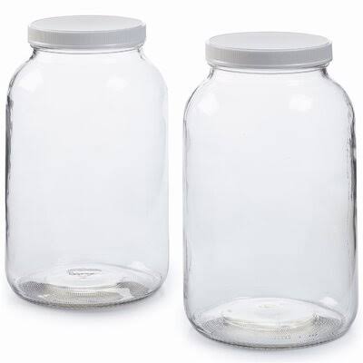 2 Pack Glass Jar with Plastic Airtight Lid N329