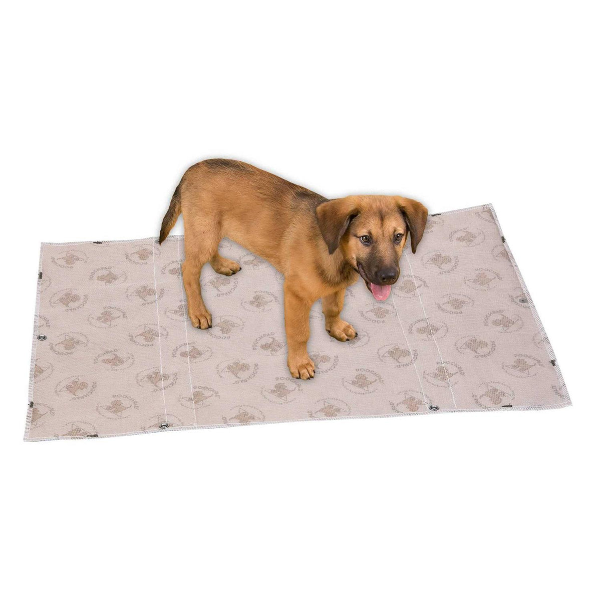 Reusable Potty Pads V768033